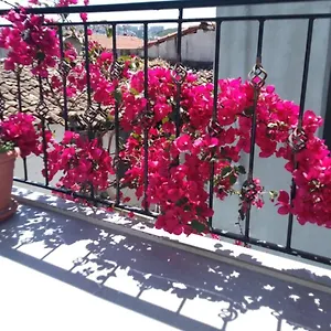  Отель Casa Magnolia Boutique